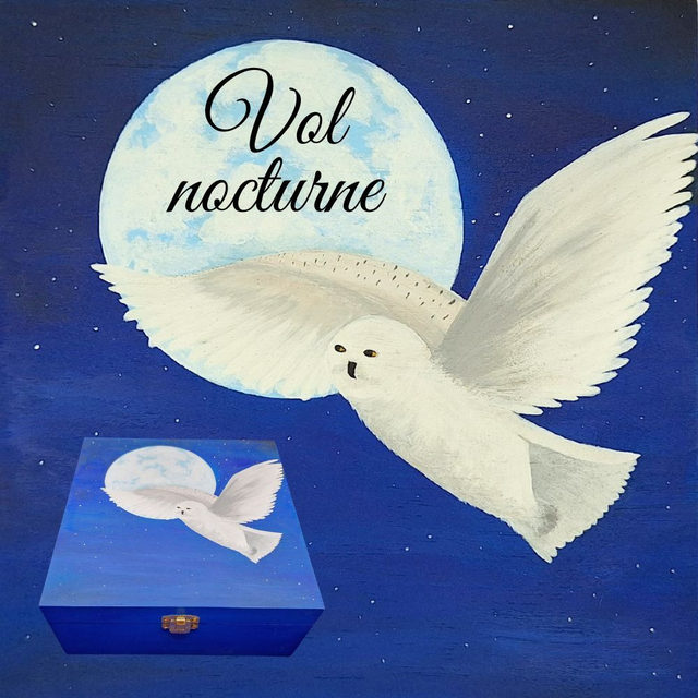 Boîte de rangement 4 compartiments : Vol nocturne