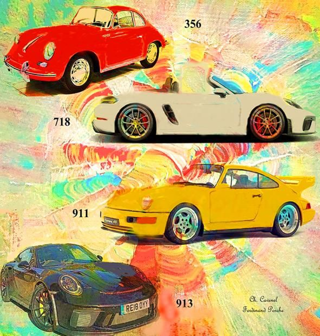 Voile "Porsches" 100 x 100 cm