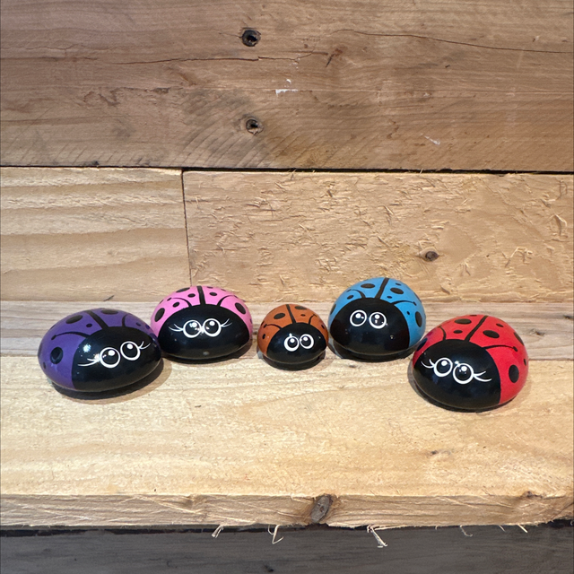 Ladybug 