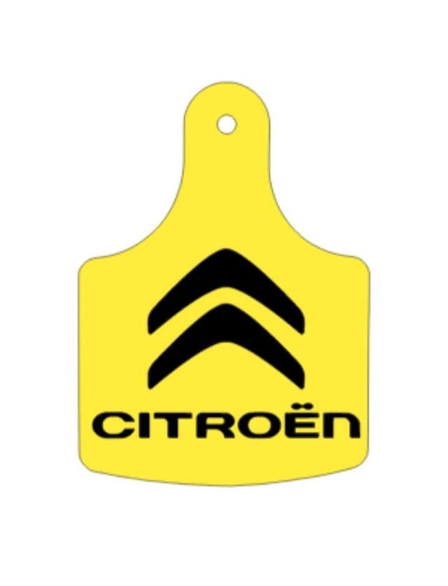 Citroën key ring