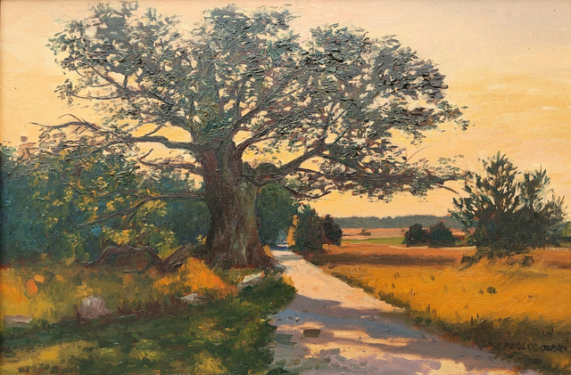 Dąb Dunin 40x60 olej płótno 2024 oprawiony