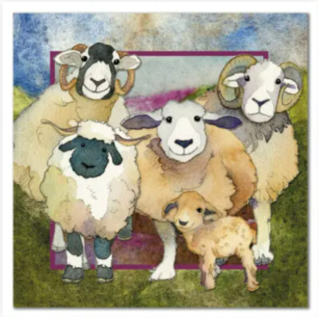 Greetings Card Sheep Family 
