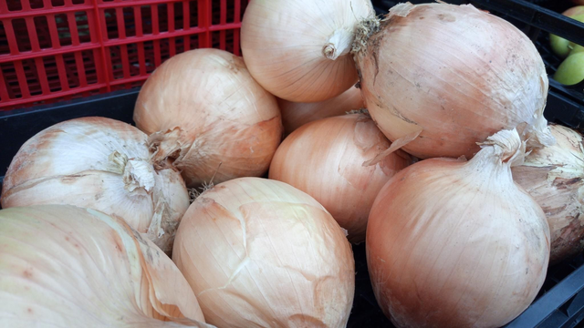 Cebolla Blanca Dé Fuentes.