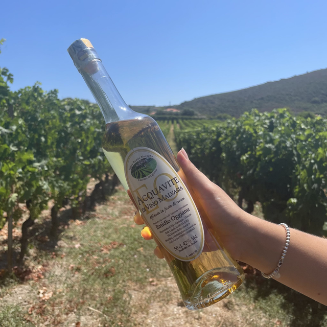 Acquavite di Malvasia di Bosa (500ml)
