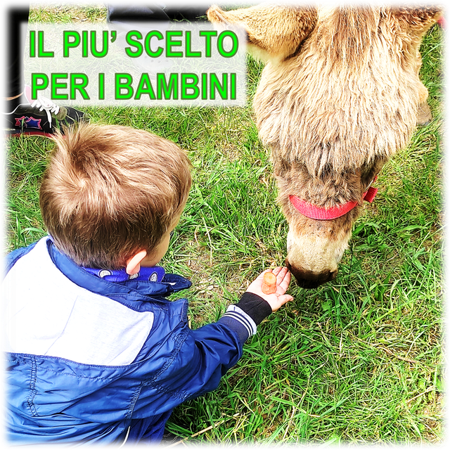 Coccole Family - Adotta un asinello