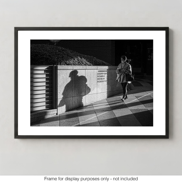 Soldier in the Shadows