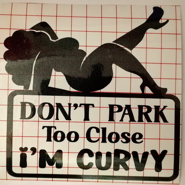Don't Park Too Close I'm Chunky/Curvy Car Sticker - 4 Designs