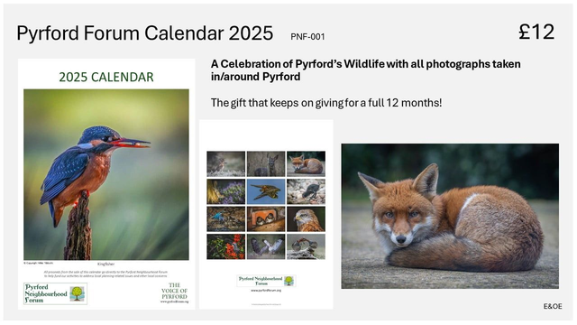 Wildlife Calendar 2025