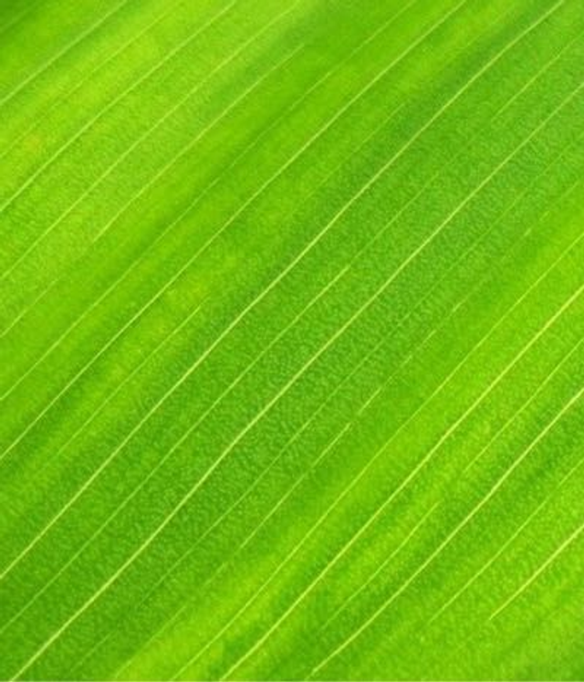 2 x One Hour Pass..............................In-studio