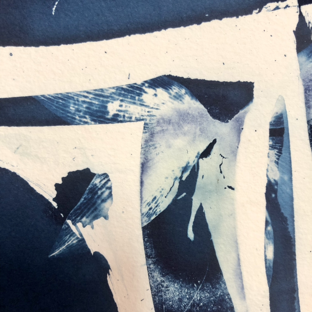 Cyanotype - « Laisse »