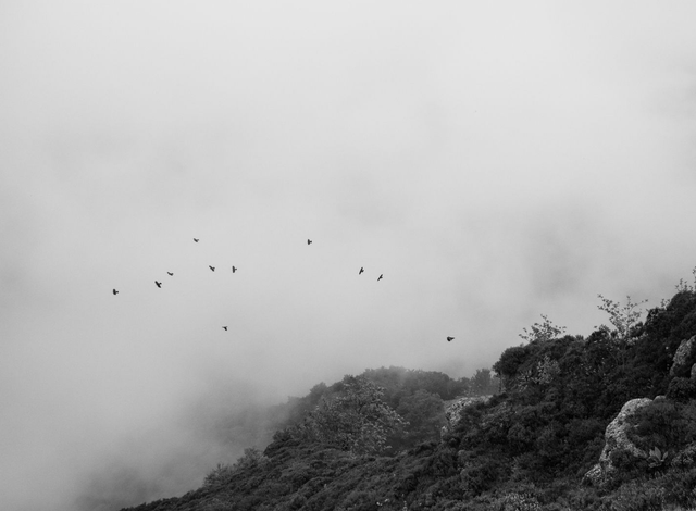 Vol au dessus des nuages