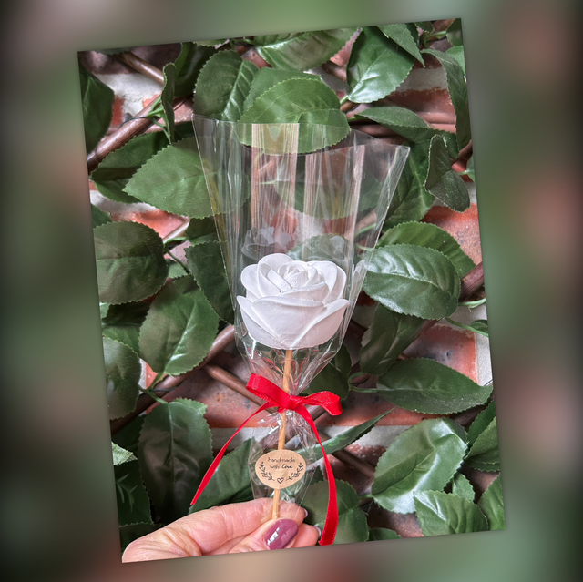 Everlasting Flower – Valentine - Mother's Day Flower – Father’s Day - Gift 