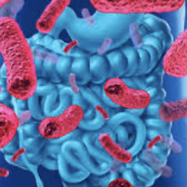 Estudio de microbiota intestinal