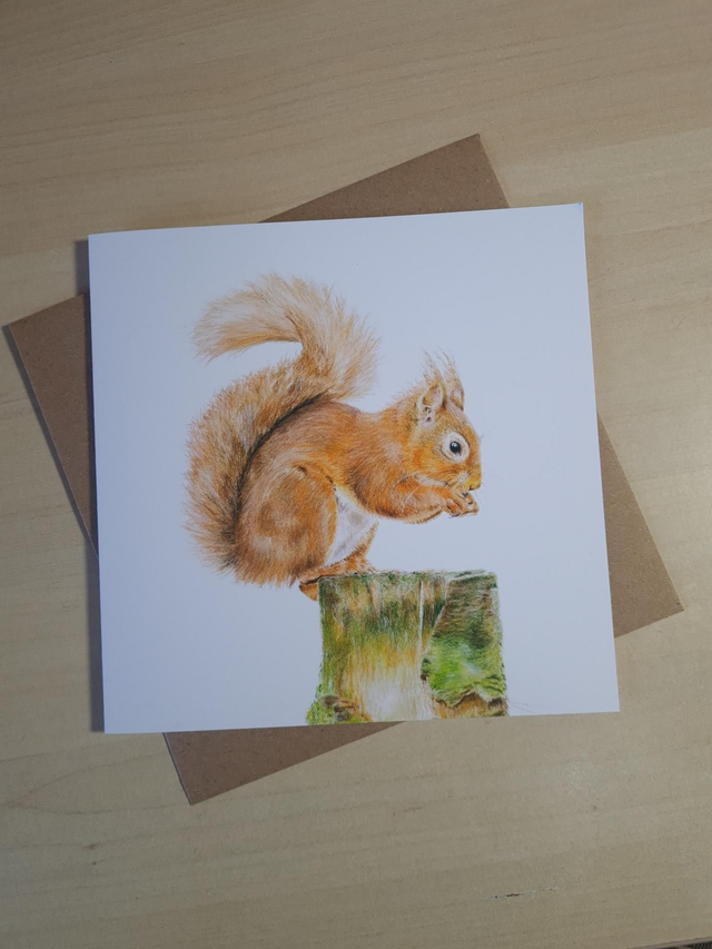 Squirrel Greeting Card