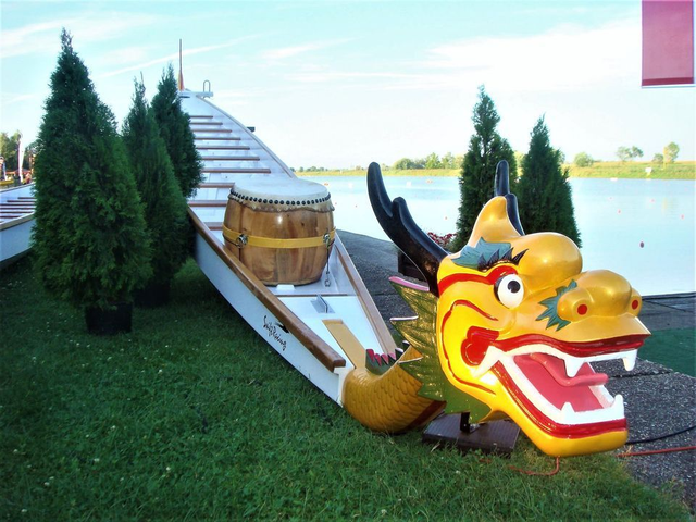 Dragon Boat - Swift Racing - 20 Places