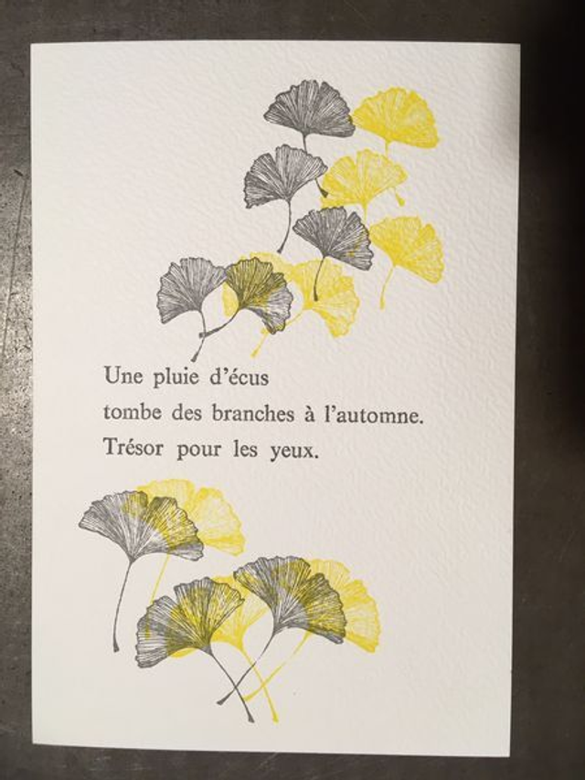 Lot de 2 cartes postales - typographie