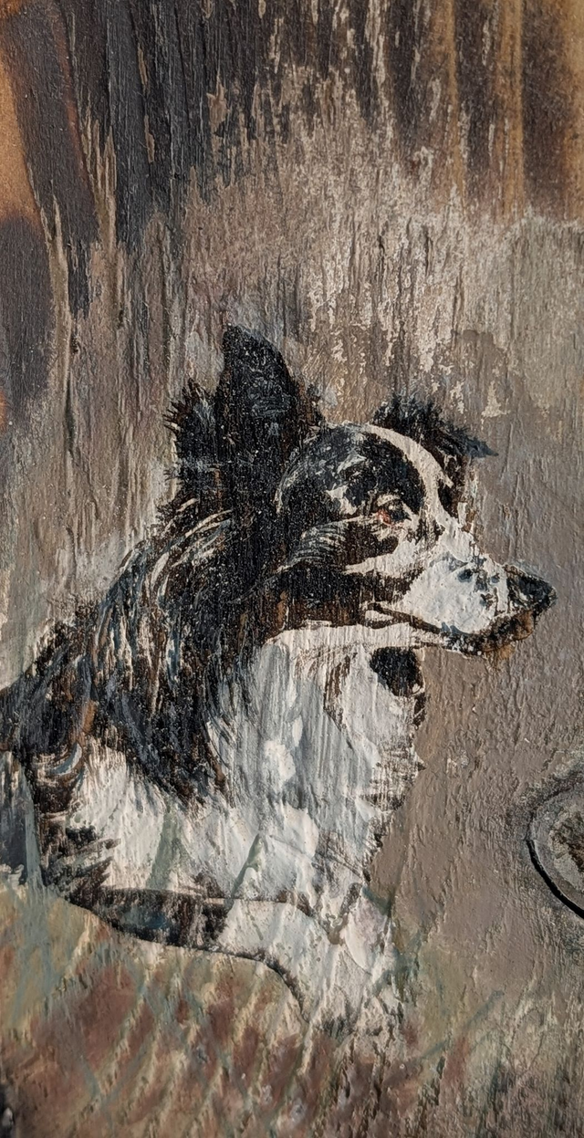 Collie dog lay down, looking out - Tealight Holder Reclaimed Wood