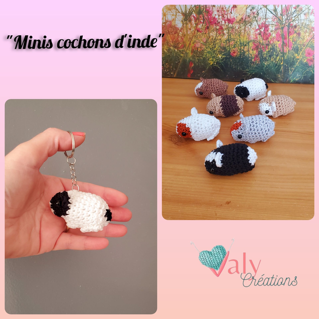 Mini cochon d'inde (sur commande)