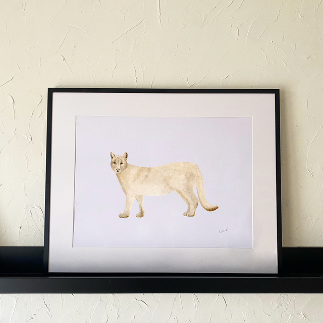 Puma
