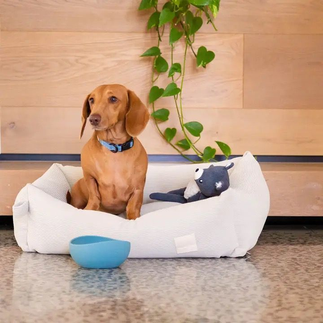 Fuzzyard French Blue Silicone Bowl