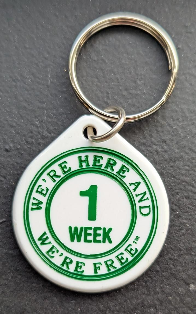 1 week plastic coin 