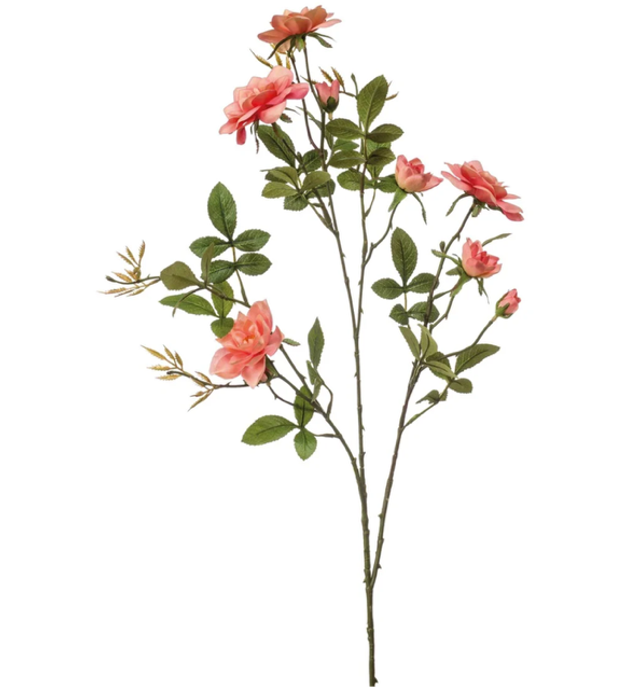 Rose loes spray coral 90cm