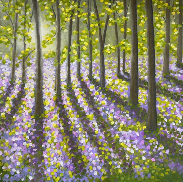 Dappled sunlight at Pamphill