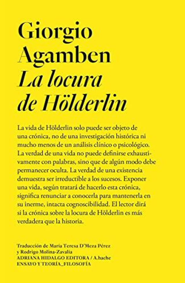 La locura de Hölderlin - Giorgio Agamben