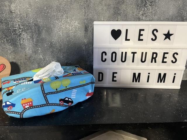 Housse boite à mouchoir