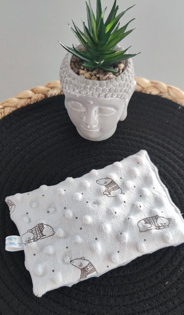 Bouillotte sèche petite  minky ours