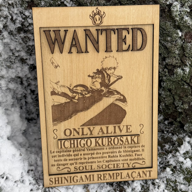 Bleach - Ichigo Kurosaki Wanted