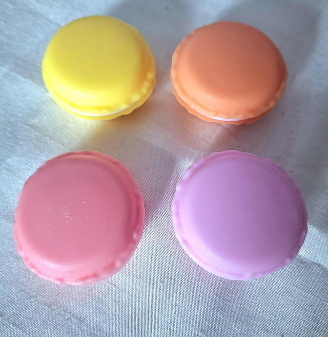 Mini Macaroon Studs Case