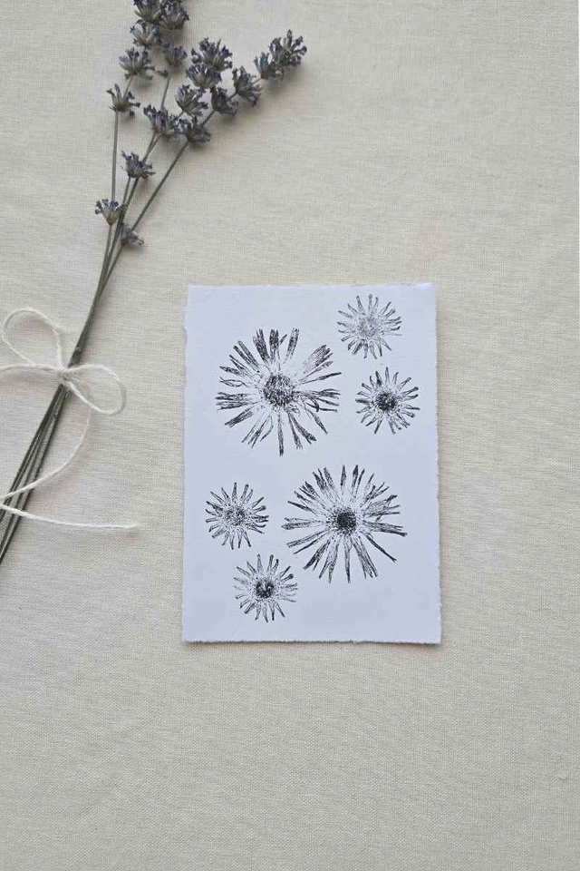 Monotype Végétal Calendula &amp; Marguerite - Impression Unique sur Papier Blanc