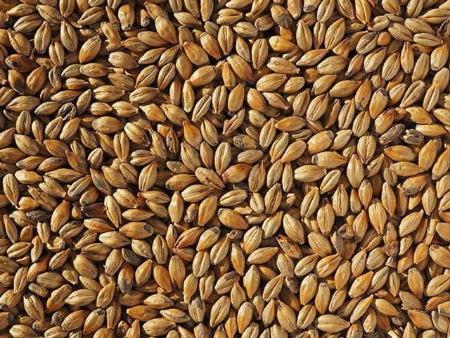 Pale Malt Crushed 3kg