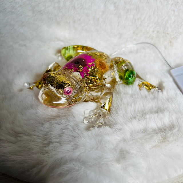 GRENOUILLE FLEUR SÉCHÉES &amp; LUMIERE