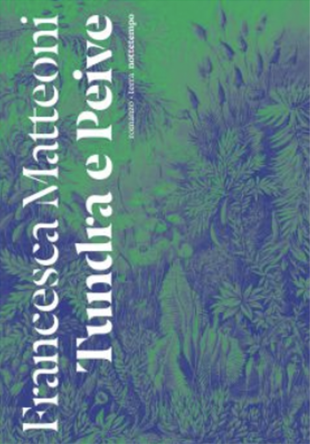 Matteoni Francesca - Tundra e Peive (nottetempo)