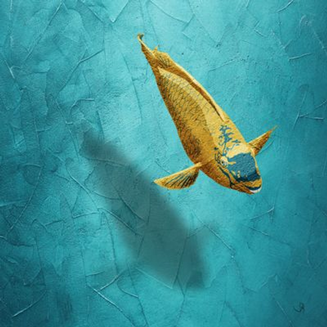 Carré B.-  Poisson magique