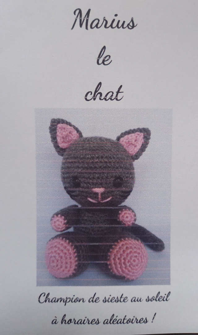 Marius le chat