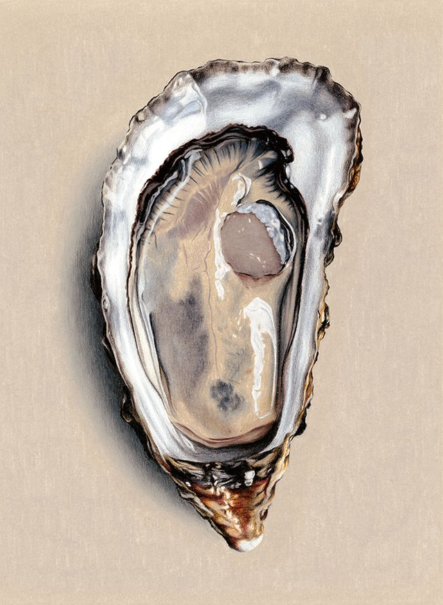 Huître, d'après Francis Ponge