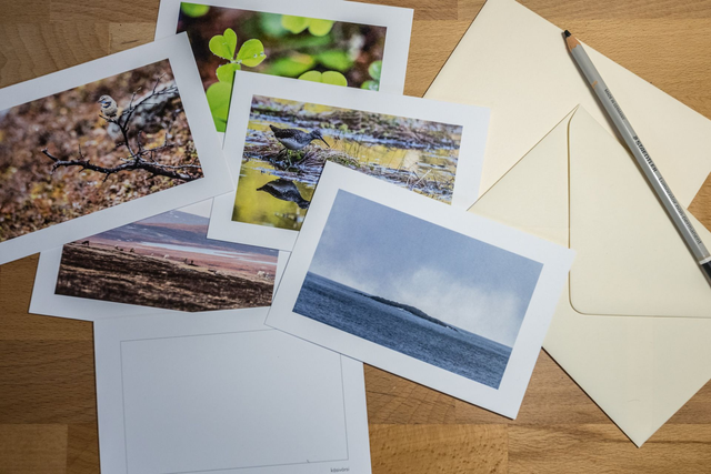 Carte à l&#039;unité - Fins de série