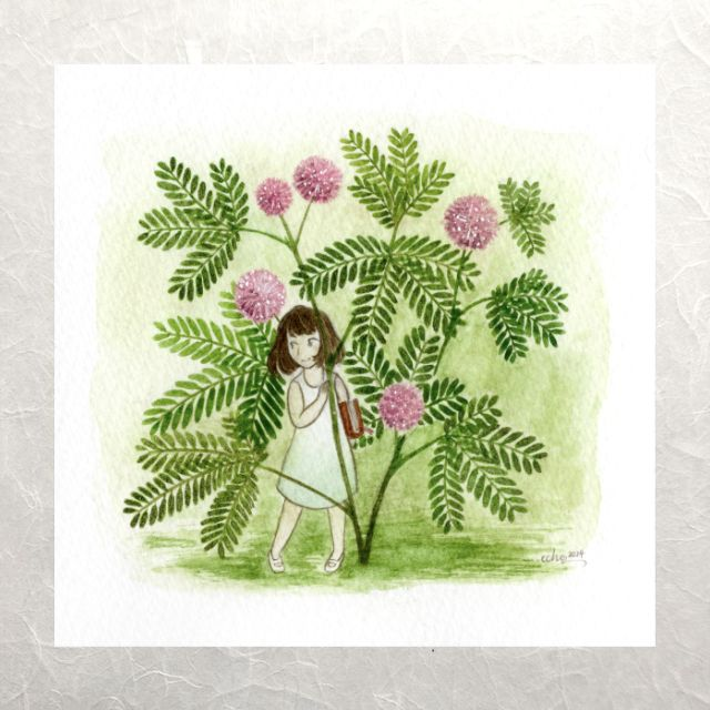 Herbarium - Mimosa pudica