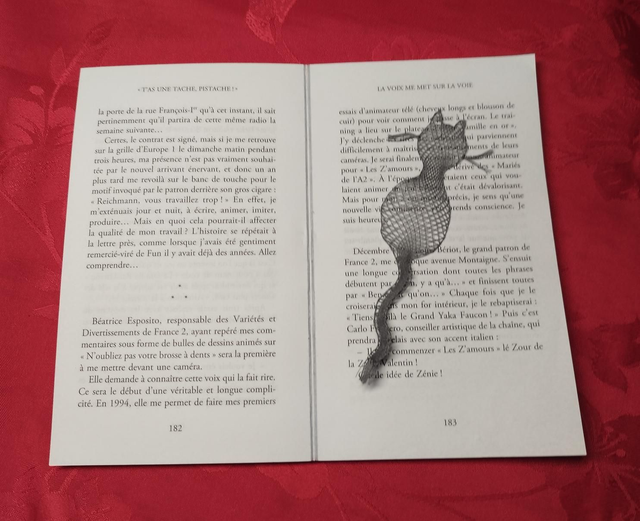 Marque-page Chat