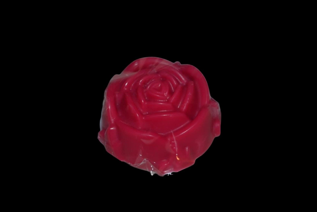 🌹 Rose parfumée