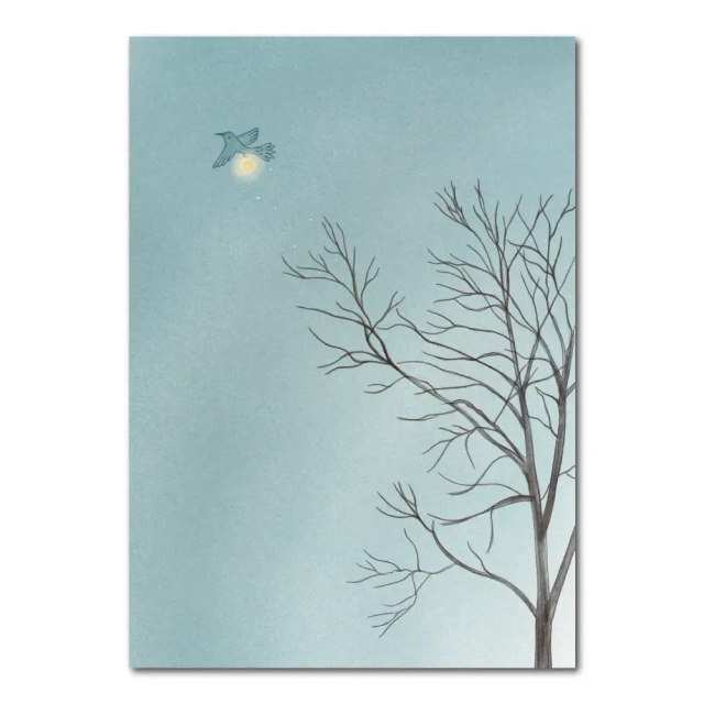 Vogellicht | Kaart