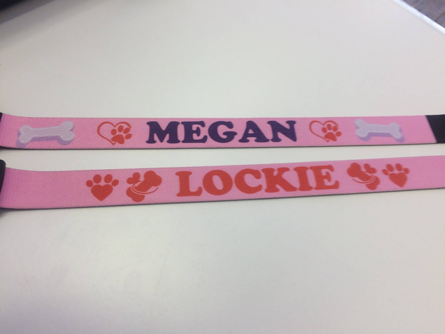 Personalised Dog Collar