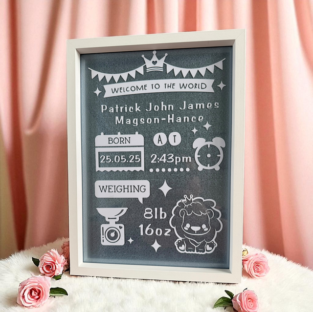 New Baby Birth Information Frame