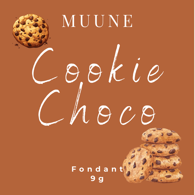 Fondant Cookie Choco