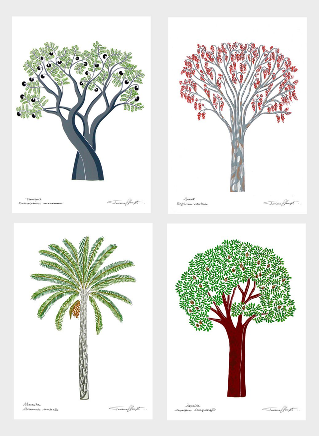 Conjunto de reproduções "ÁRVORES BRASILEIRAS - SÉRIE 4"