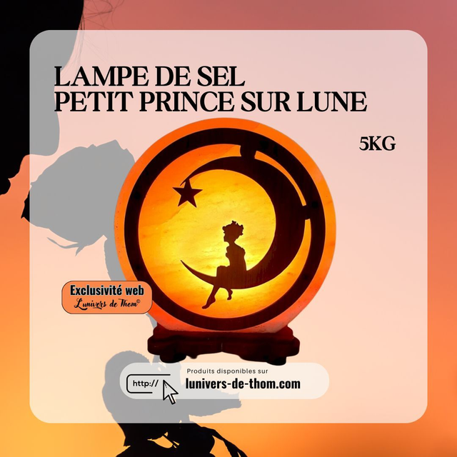 Lampe de Sel Petit Prince sur Lune 5KG