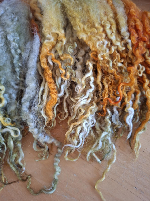 Boucles01113 teeswater teinte main 66g